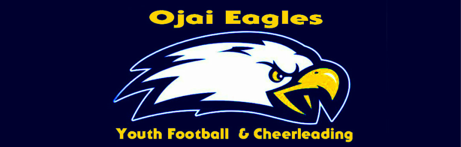 Teams - Divisions - Ojai Eagles Youth Football & Cheerleading